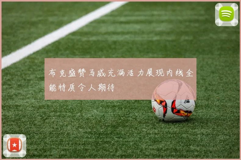 布克盛赞马威充满活力展现内线全能特质令人期待