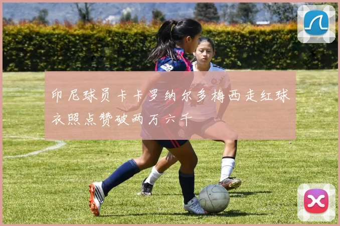 印尼球员卡卡罗纳尔多梅西走红球衣照点赞破两万六千