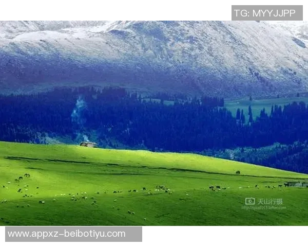 半岛都市报：新疆男篮状态平平今晚雄鹰力争首次突破天山高峰